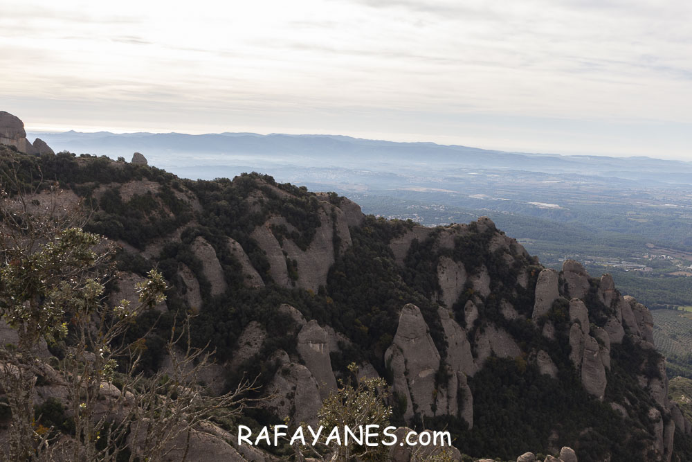 Ruta: Miranda del Princep ( 993 m.) (Els 100 Cims) Ruta: Miranda del Princep ( 993 m.) (Els 100 Cims)
