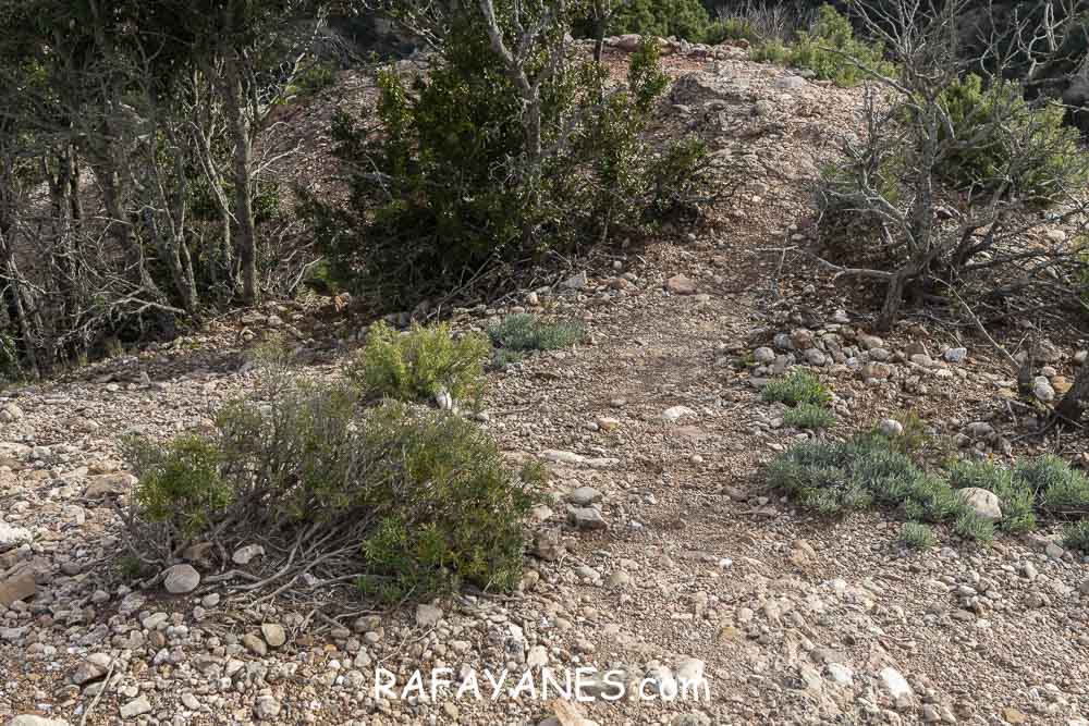 Ruta: Miranda del Princep ( 993 m.) (Els 100 Cims) Ruta: Miranda del Princep ( 993 m.) (Els 100 Cims)