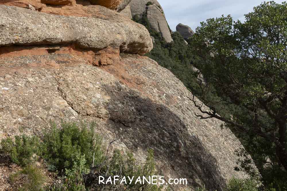 Ruta: Miranda del Princep ( 993 m.) (Els 100 Cims) Ruta: Miranda del Princep ( 993 m.) (Els 100 Cims)