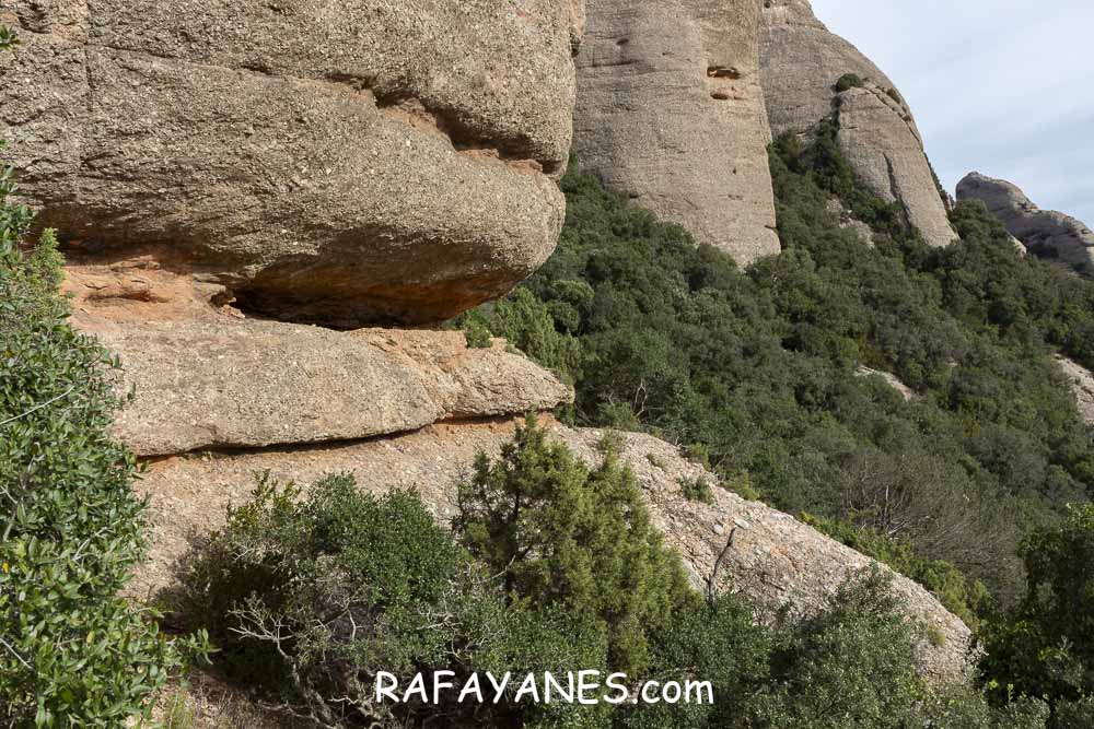 Ruta: Miranda del Princep ( 993 m.) (Els 100 Cims) Ruta: Miranda del Princep ( 993 m.) (Els 100 Cims)