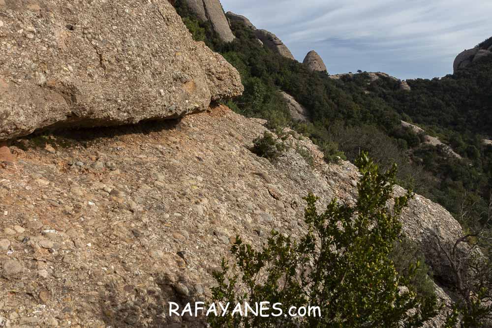 Ruta: Miranda del Princep ( 993 m.) (Els 100 Cims) Ruta: Miranda del Princep ( 993 m.) (Els 100 Cims)