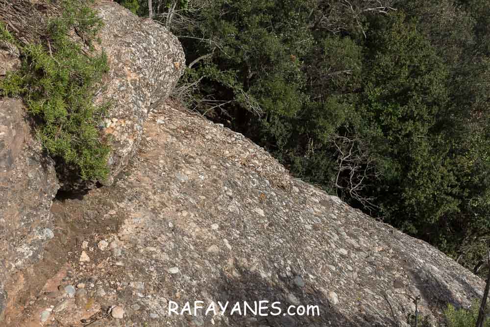 Ruta: Miranda del Princep ( 993 m.) (Els 100 Cims) Ruta: Miranda del Princep ( 993 m.) (Els 100 Cims)