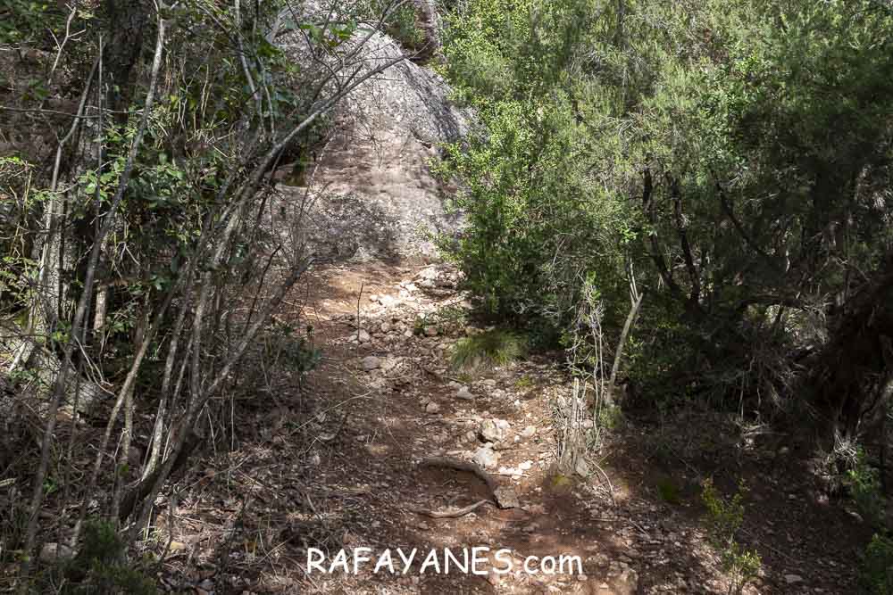 Ruta: Miranda del Princep ( 993 m.) (Els 100 Cims) Ruta: Miranda del Princep ( 993 m.) (Els 100 Cims)