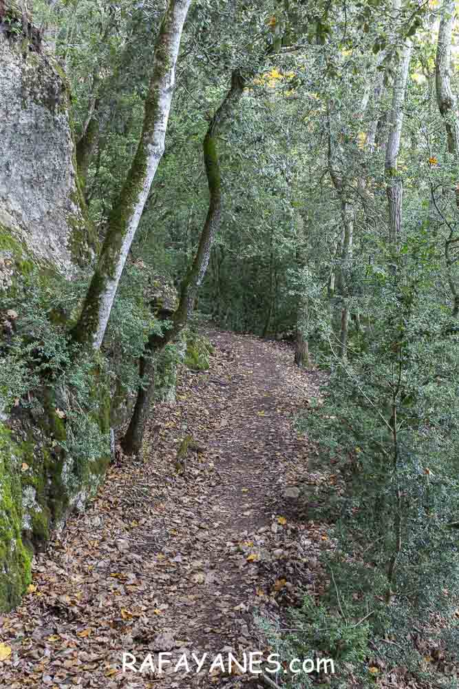 Ruta: Miranda del Princep ( 993 m.) (Els 100 Cims) Ruta: Miranda del Princep ( 993 m.) (Els 100 Cims)