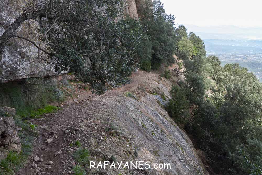 Ruta: Miranda del Princep ( 993 m.) (Els 100 Cims) Ruta: Miranda del Princep ( 993 m.) (Els 100 Cims)