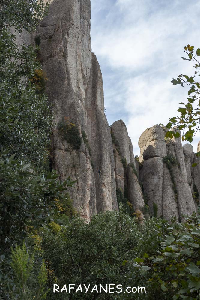 Ruta: Miranda del Princep ( 993 m.) (Els 100 Cims) Ruta: Miranda del Princep ( 993 m.) (Els 100 Cims)