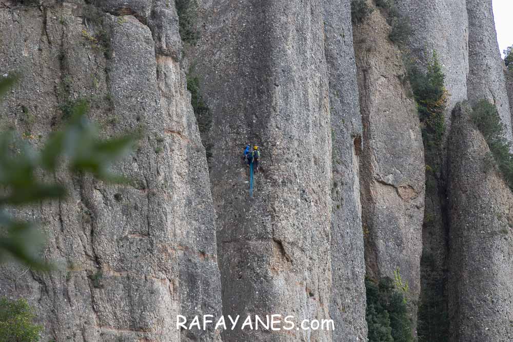 Ruta: Miranda del Princep ( 993 m.) (Els 100 Cims) Ruta: Miranda del Princep ( 993 m.) (Els 100 Cims)
