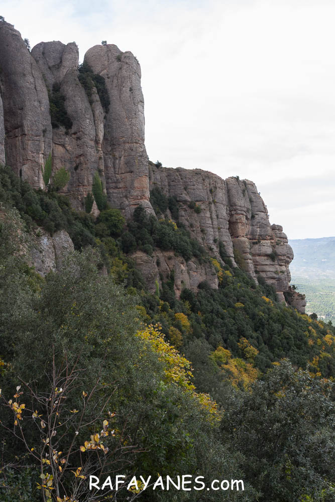 Ruta: Miranda del Princep ( 993 m.) (Els 100 Cims) Ruta: Miranda del Princep ( 993 m.) (Els 100 Cims)