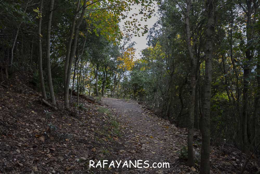 Ruta: Miranda del Princep ( 993 m.) (Els 100 Cims) Ruta: Miranda del Princep ( 993 m.) (Els 100 Cims)