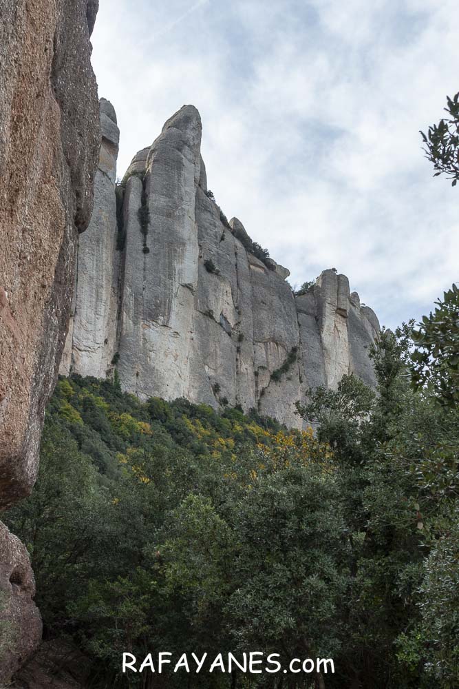 Ruta: Miranda del Princep ( 993 m.) (Els 100 Cims) Ruta: Miranda del Princep ( 993 m.) (Els 100 Cims)