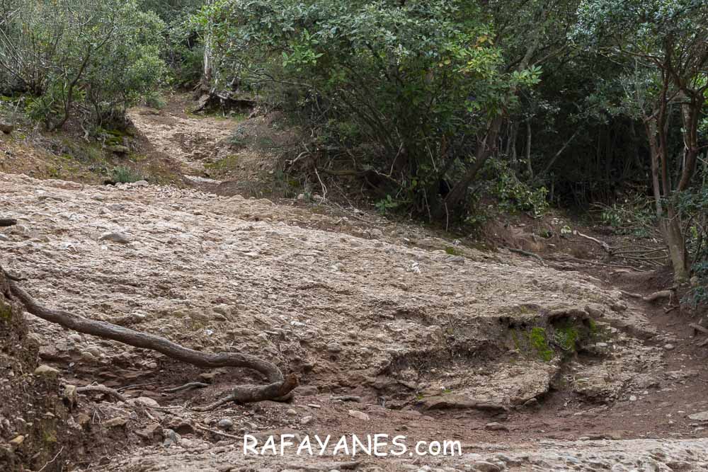 Ruta: Miranda del Princep ( 993 m.) (Els 100 Cims) Ruta: Miranda del Princep ( 993 m.) (Els 100 Cims)