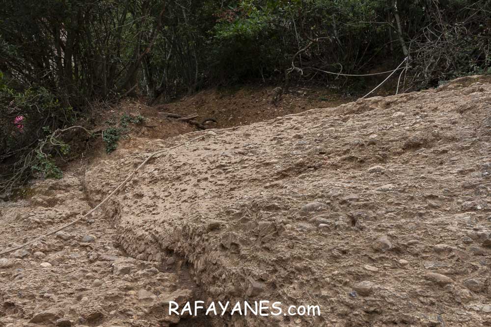 Ruta: Miranda del Princep ( 993 m.) (Els 100 Cims) Ruta: Miranda del Princep ( 993 m.) (Els 100 Cims)