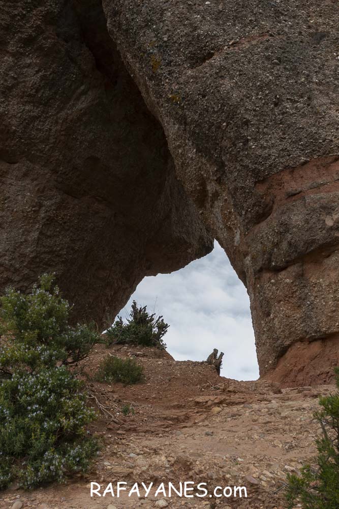 Ruta: Miranda del Princep ( 993 m.) (Els 100 Cims) Ruta: Miranda del Princep ( 993 m.) (Els 100 Cims)