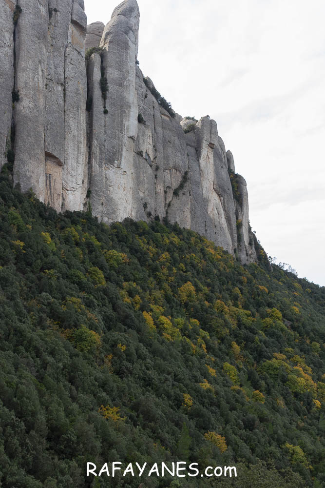 Ruta: Miranda del Princep ( 993 m.) (Els 100 Cims) Ruta: Miranda del Princep ( 993 m.) (Els 100 Cims)