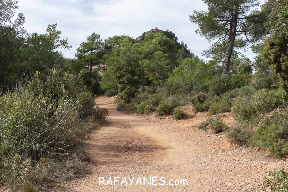 Ruta: Miranda del Princep ( 993 m.) (Els 100 Cims) Ruta: Miranda del Princep ( 993 m.) (Els 100 Cims)