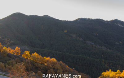 Ruta:  Turó dels Empedrissats ( 1563 m.)