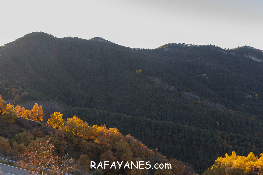 Ruta:  Turó dels Empedrissats ( 1563 m.)