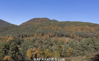 Ruta:  Pedró de Matamala ( 1365 m.)