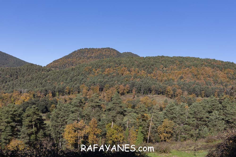 Ruta:  Pedró de Matamala ( 1365 m.)