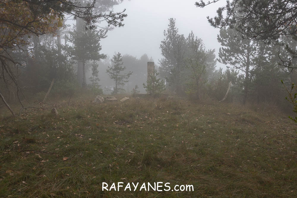 Ruta: Puig Miró ( 1307 m.)