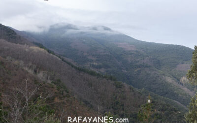 Ruta: Puig de Sant Gregori ( 1090 m.)
