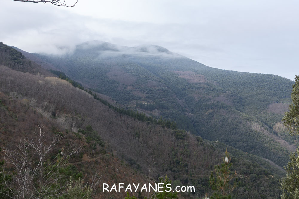 Ruta: Puig de Sant Gregori ( 1090 m.)