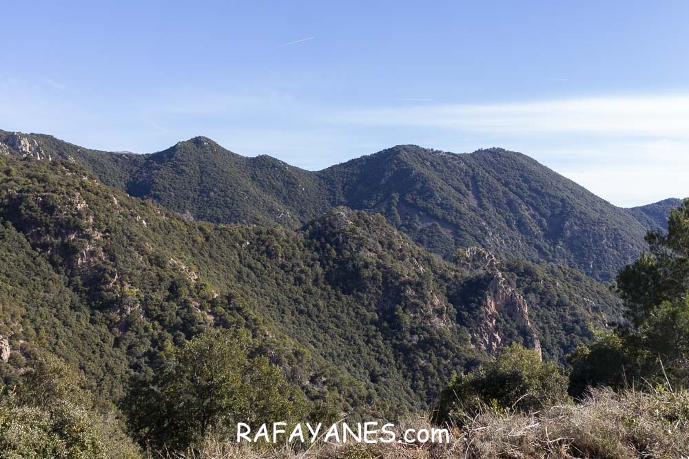 Ruta: Roca Centella ( 1000 m.) y El Parany (1151 m.)