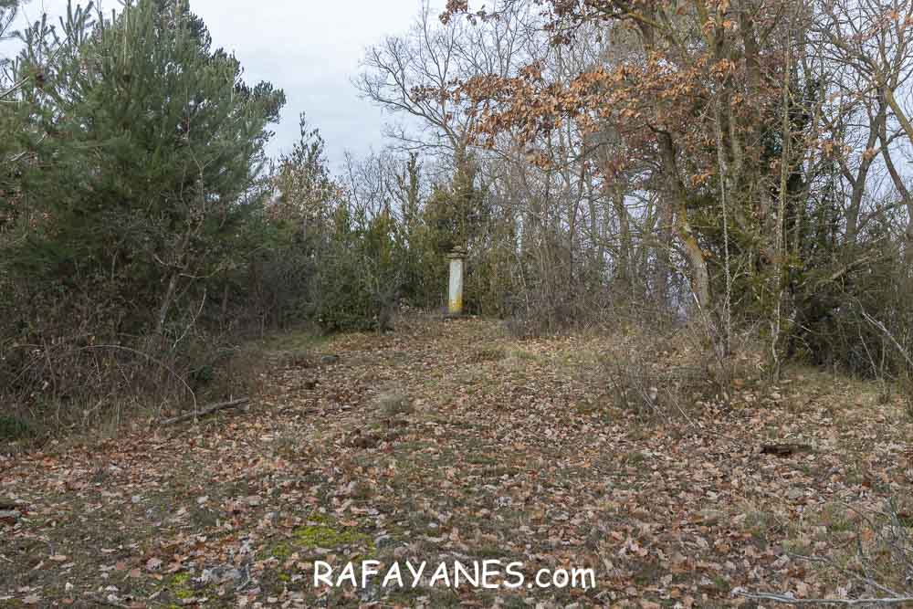 Ruta: Puig Aliguer (1068 m.)