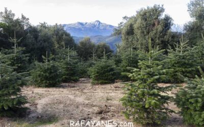 Ruta: Guteras (924 m.)