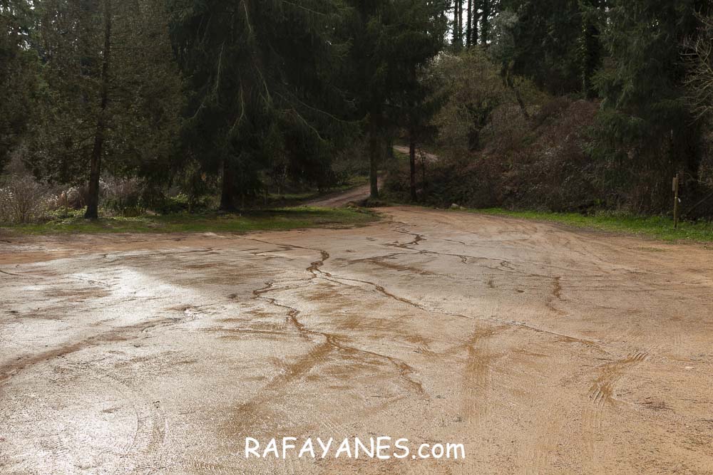 Ruta: Turó del Faig Verd (1187 m.) Ruta: Turó del Faig Verd (1187 m.)<br />