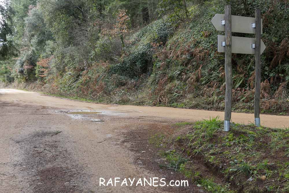 Ruta: Turó del Faig Verd (1187 m.) Ruta: Turó del Faig Verd (1187 m.)
