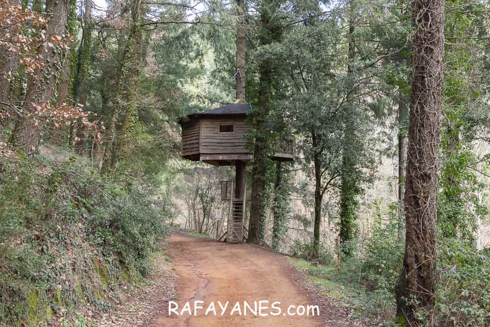 Ruta: Turó del Faig Verd (1187 m.) Ruta: Turó del Faig Verd (1187 m.)