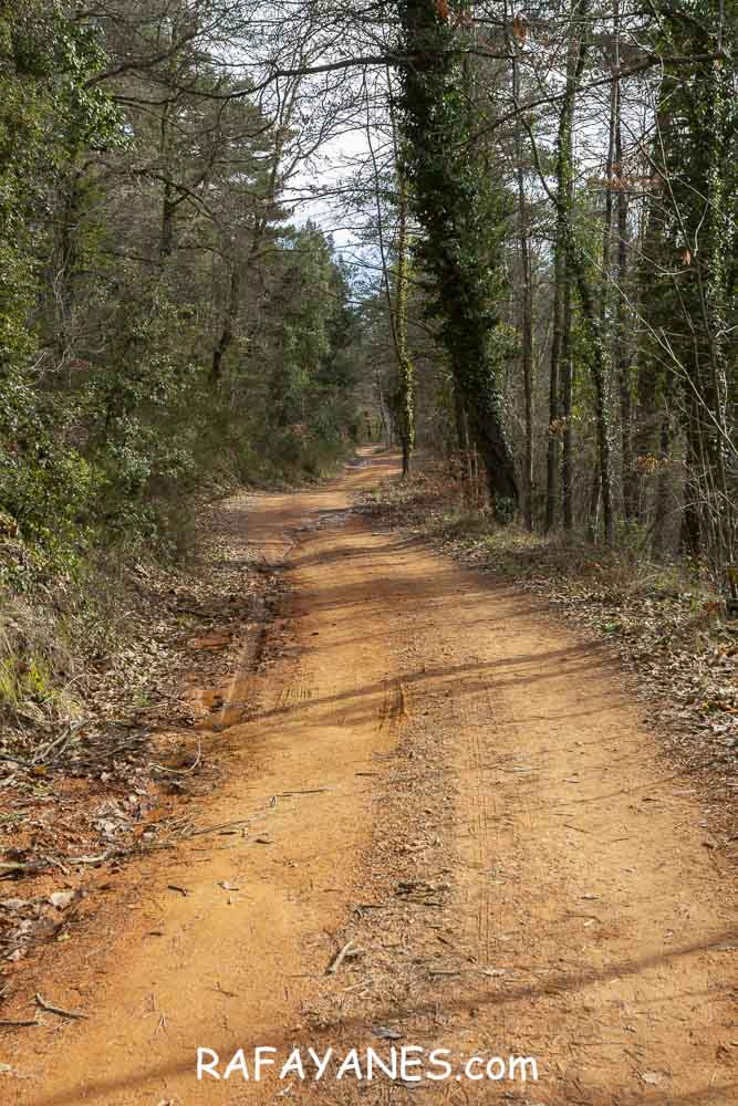 Ruta: Turó del Faig Verd (1187 m.) Ruta: Turó del Faig Verd (1187 m.)