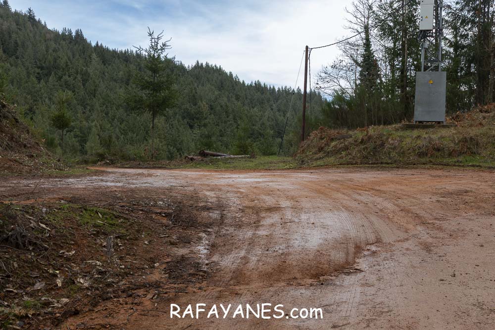 Ruta: Turó del Faig Verd (1187 m.) Ruta: Turó del Faig Verd (1187 m.)