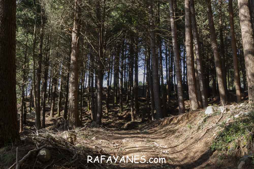 Ruta: Turó del Faig Verd (1187 m.) Ruta: Turó del Faig Verd (1187 m.)