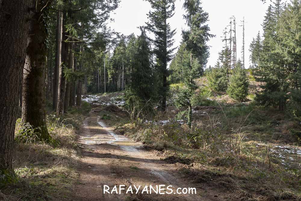 Ruta: Turó del Faig Verd (1187 m.) Ruta: Turó del Faig Verd (1187 m.)