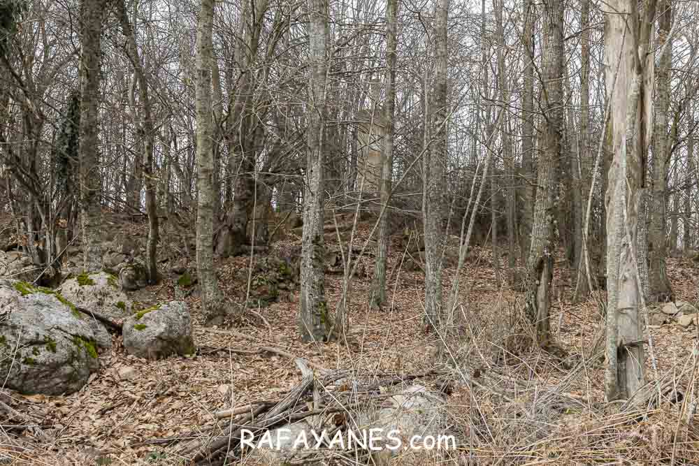 Ruta: Turó del Faig Verd (1187 m.) Ruta: Turó del Faig Verd (1187 m.)