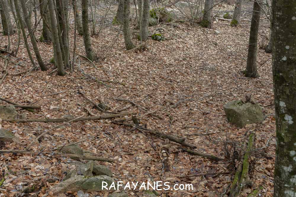 Ruta: Turó del Faig Verd (1187 m.) Ruta: Turó del Faig Verd (1187 m.)