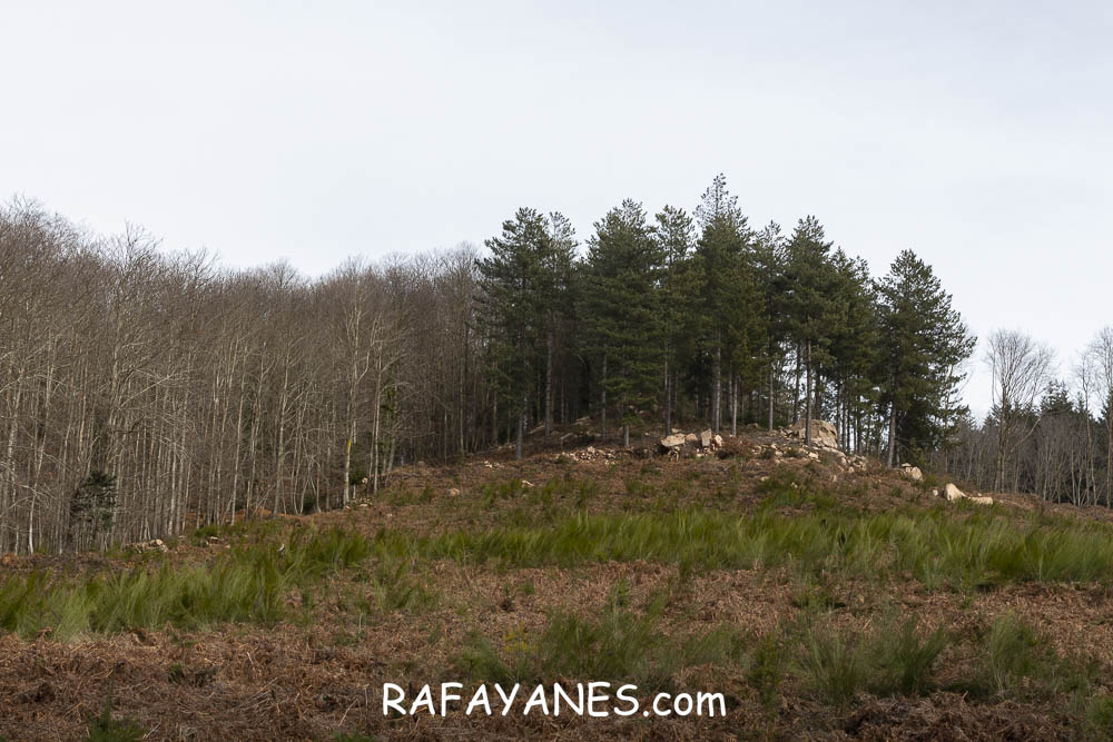 Ruta: Turó del Faig Verd (1187 m.) Ruta: Turó del Faig Verd (1187 m.)