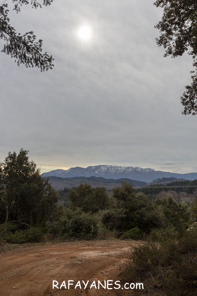 Ruta: Turó del Faig Verd (1187 m.) Ruta: Turó del Faig Verd (1187 m.)