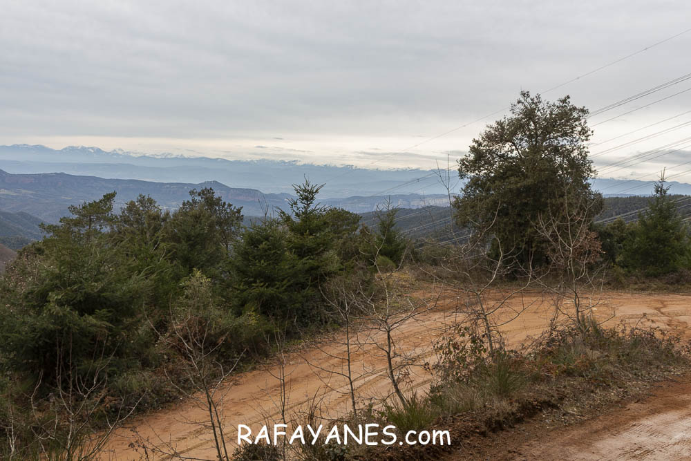 Ruta: Turó del Faig Verd (1187 m.) Ruta: Turó del Faig Verd (1187 m.)