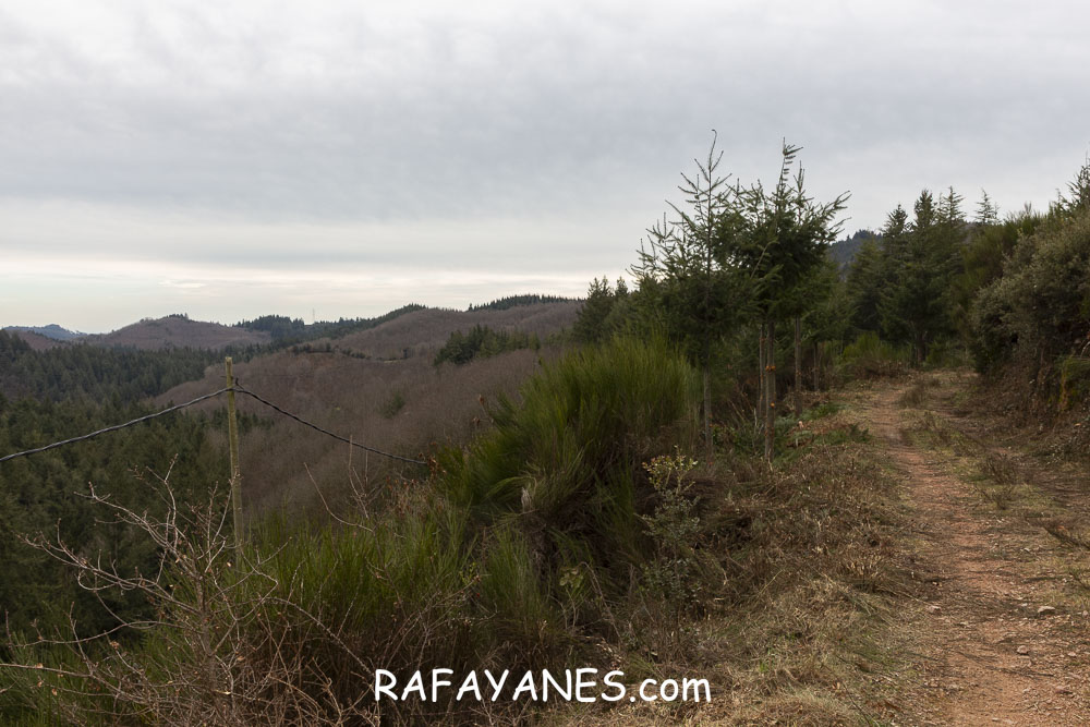 Ruta: Turó del Faig Verd (1187 m.) Ruta: Turó del Faig Verd (1187 m.)