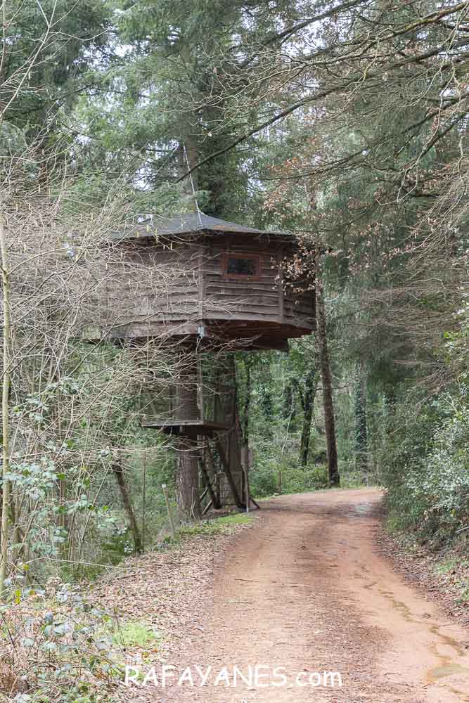 Ruta: Turó del Faig Verd (1187 m.) Ruta: Turó del Faig Verd (1187 m.)