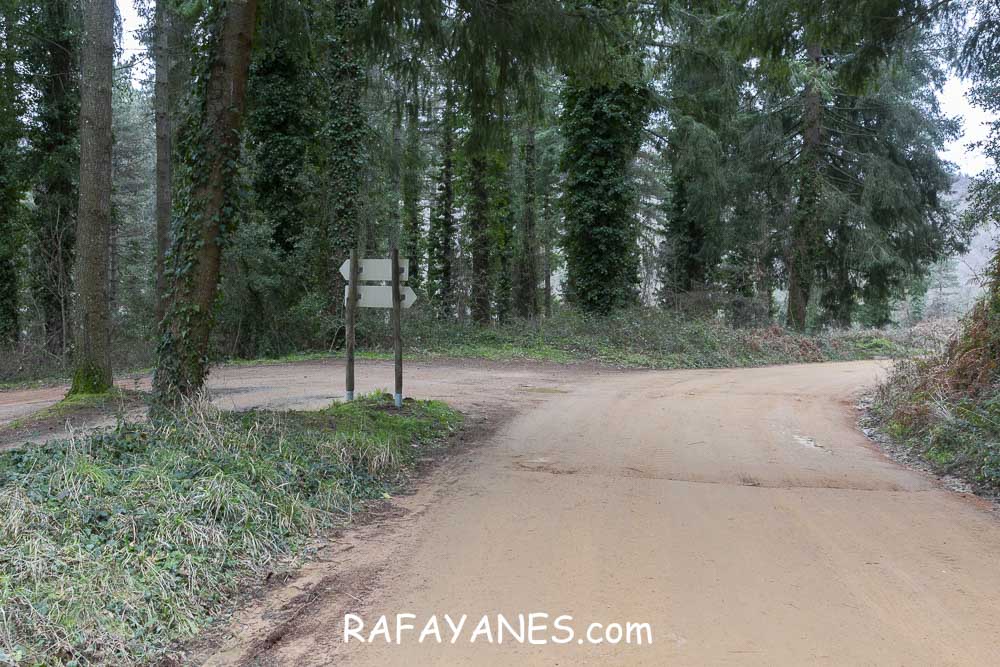 Ruta: Turó del Faig Verd (1187 m.) Ruta: Turó del Faig Verd (1187 m.)