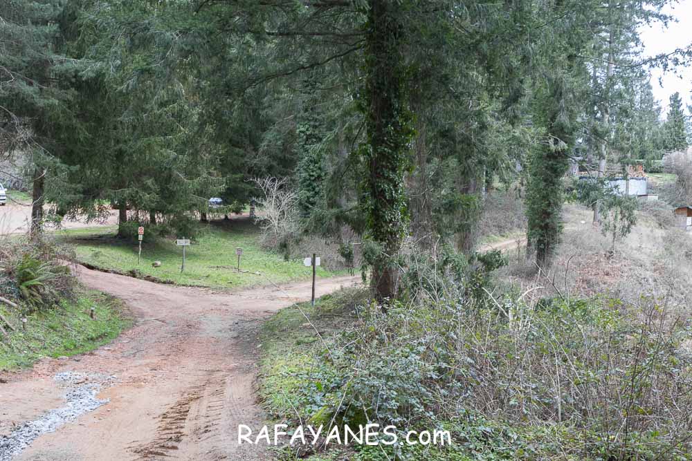 Ruta: Turó del Faig Verd (1187 m.) Ruta: Turó del Faig Verd (1187 m.)