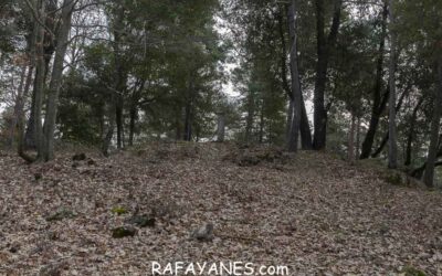 Ruta: Fosas (1087 m.)