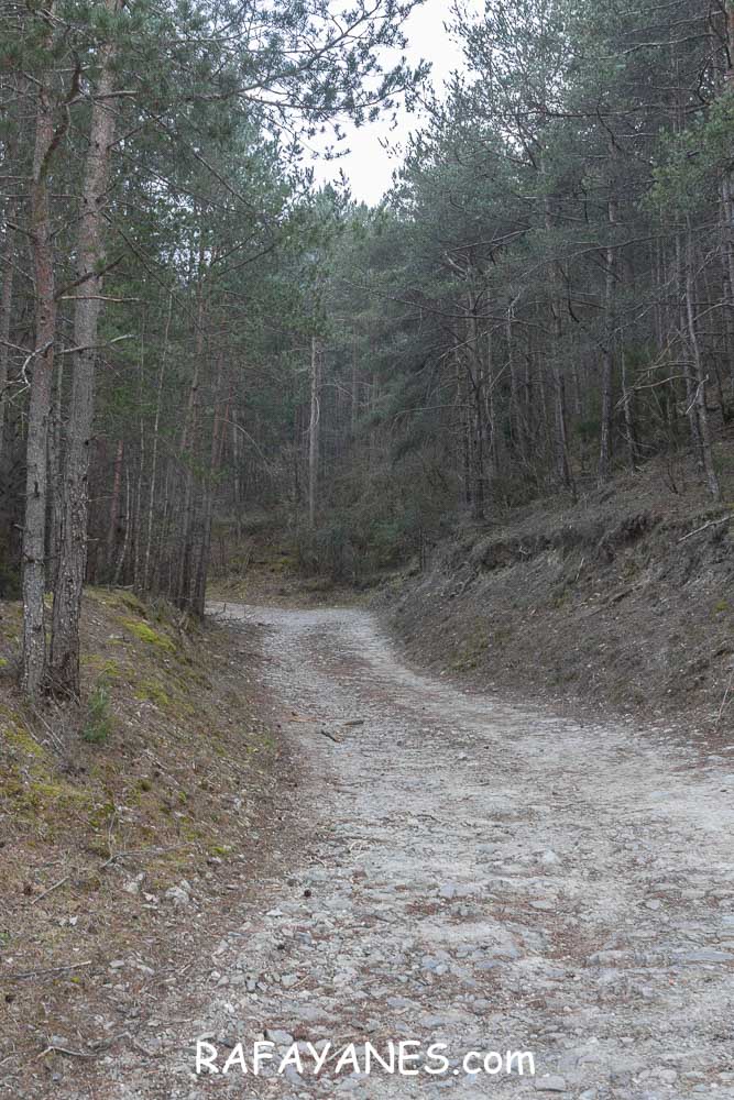 Ruta: Puig de la Batalla (1052 m.) Ruta: Puig de la Batalla (1052 m.)