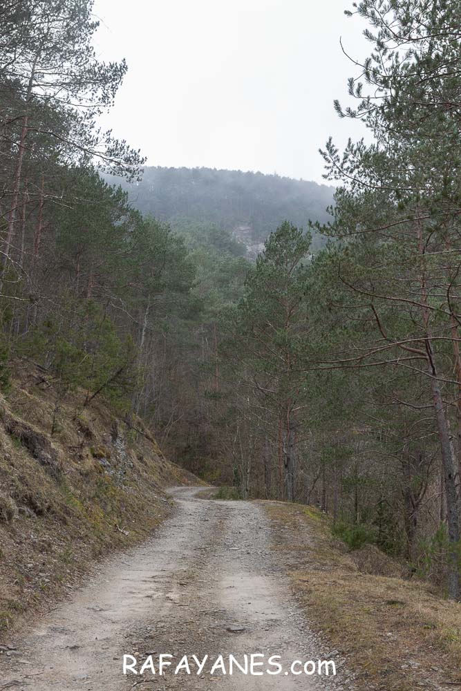 Ruta: Puig de la Batalla (1052 m.) Ruta: Puig de la Batalla (1052 m.)
