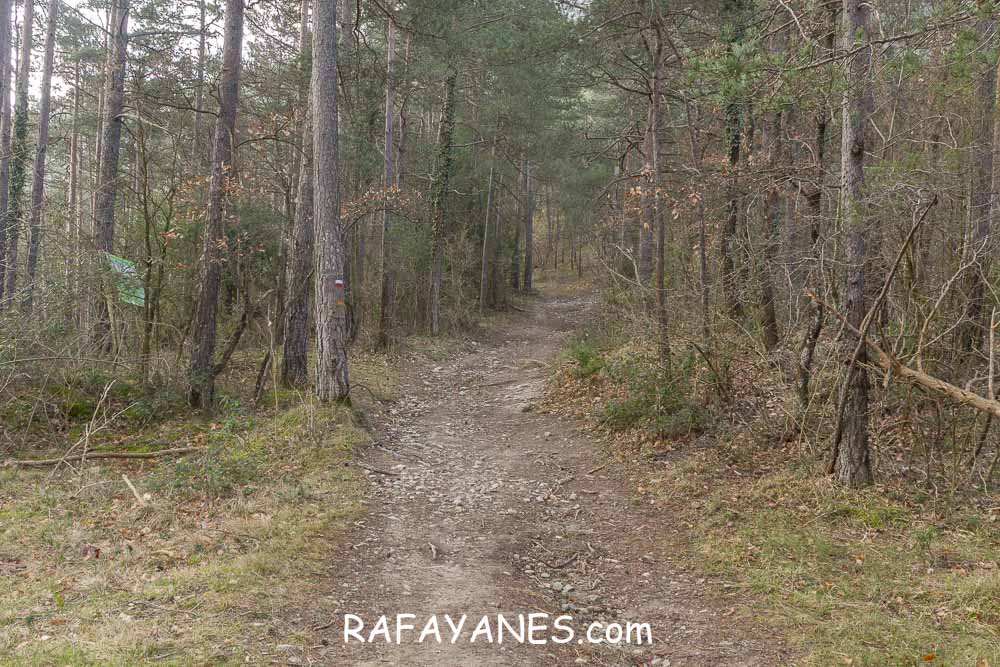 Ruta: Puig de la Batalla (1052 m.) Ruta: Puig de la Batalla (1052 m.)