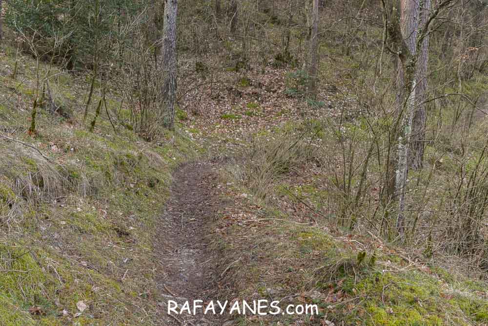 Ruta: Puig de la Batalla (1052 m.) Ruta: Puig de la Batalla (1052 m.)
